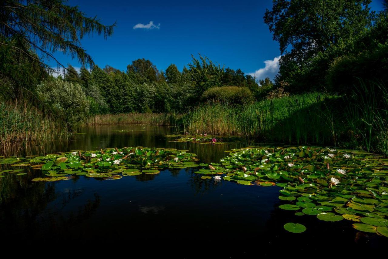 Idilliska Latgaliesu Lauku Maja Ar Melno Pirti Villa Aglona Dış mekan fotoğraf