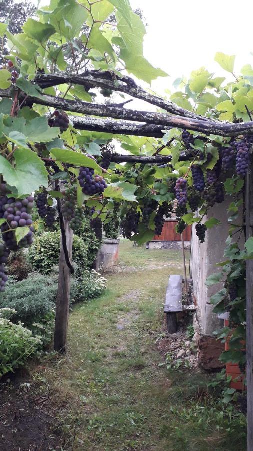 Idilliska Latgaliesu Lauku Maja Ar Melno Pirti Villa Aglona Dış mekan fotoğraf
